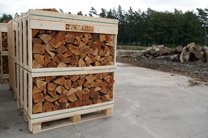 [ARD002] Ardenwood - Palette rangée - Hêtre sec - Clous en bois - 50cm (2 stères)